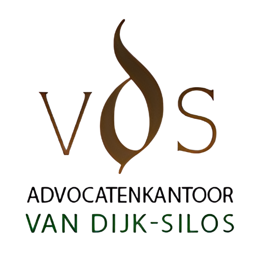 VDS Law Firm